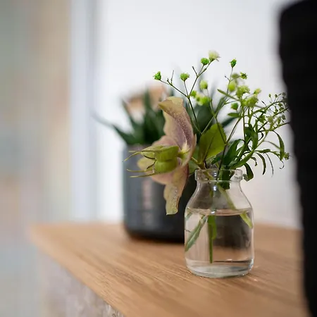 Apartment Breeze Ferienwohnung - Brise 1